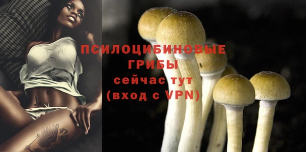 MDMA Каменск-Шахтинский