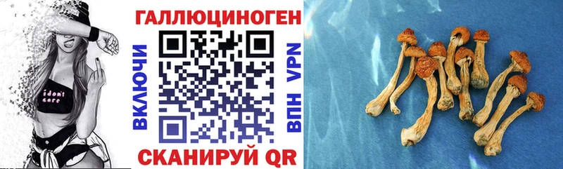 Купить закладки  Бронницы  Галлюциногенные грибы Psilocybe 